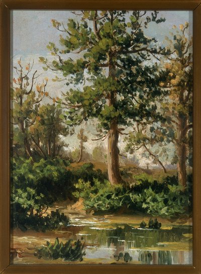 A Brook Among the Greenery by Paolo Ferretti